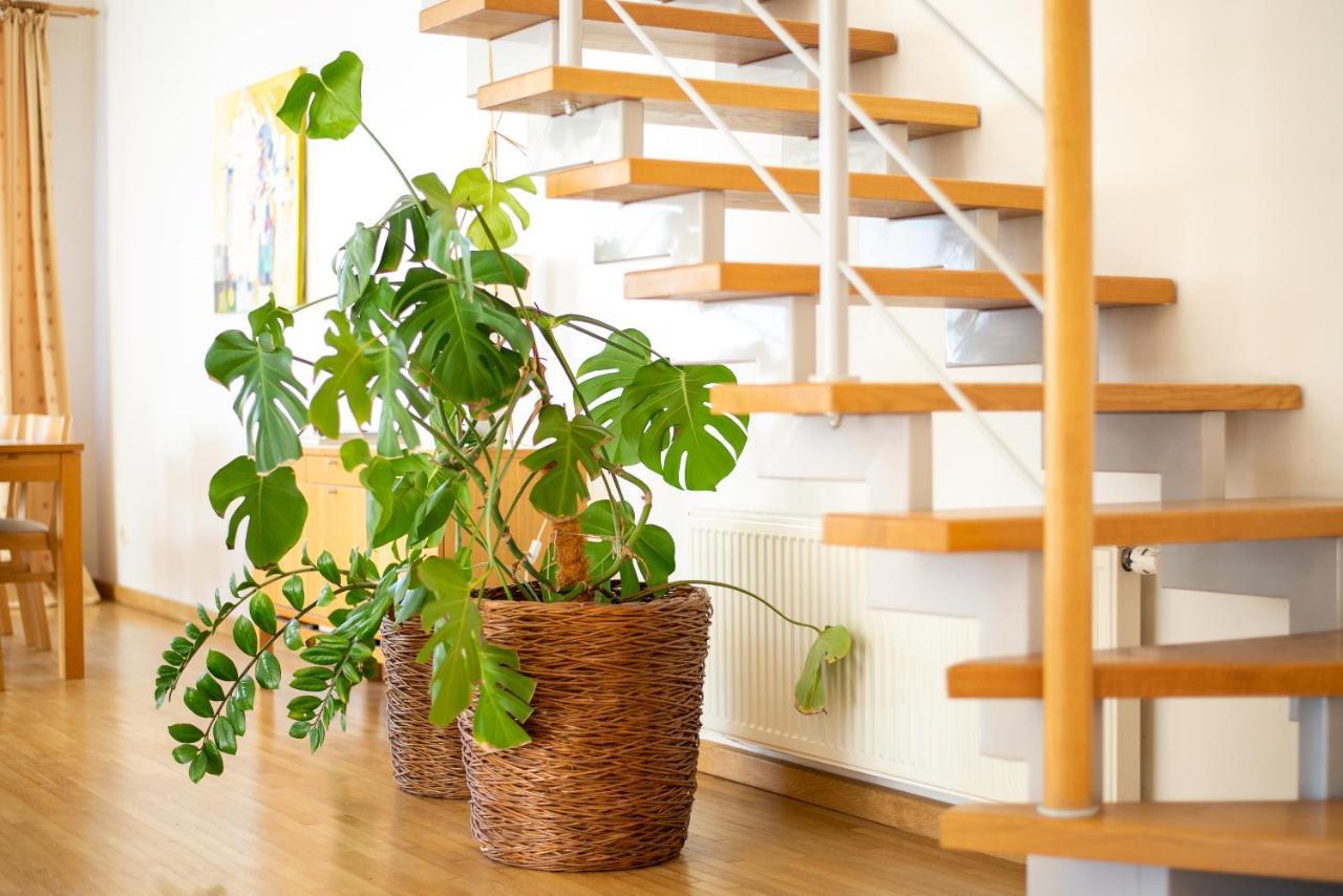 Vila Tila Palanga Ngoại thất bức ảnh